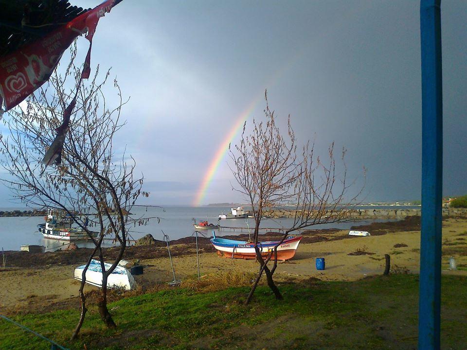 Chiyanno's Pansiyon *